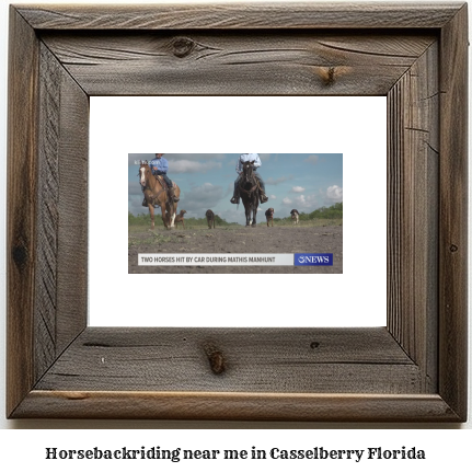 horseback riding near me in Casselberry, Florida